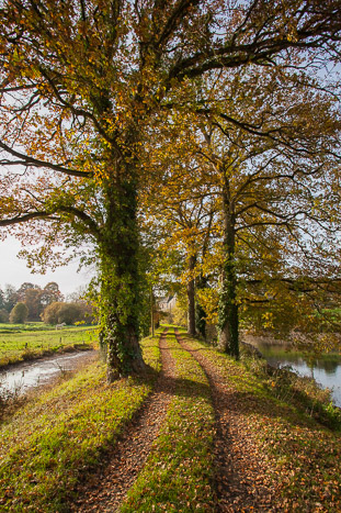<strong>Calorguen, chemin d'automne</strong> • Calorguen, chemin des bords de Rance en automne <small>© Michel FLEURY</small>