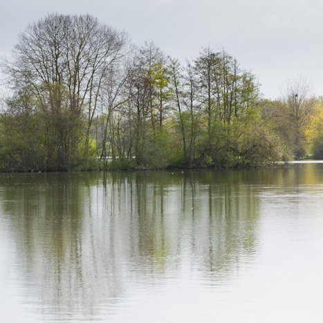 <strong>Saint-André-des-Eaux, étang de Bétineuc</strong> <small>© Michel FLEURY</small>