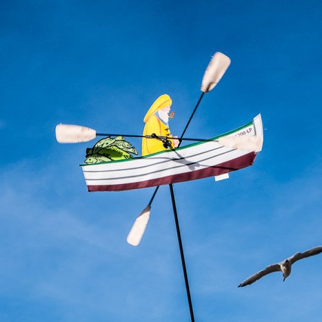 <strong>Le pêcheur volant</strong> <small>© Michel FLEURY</small>