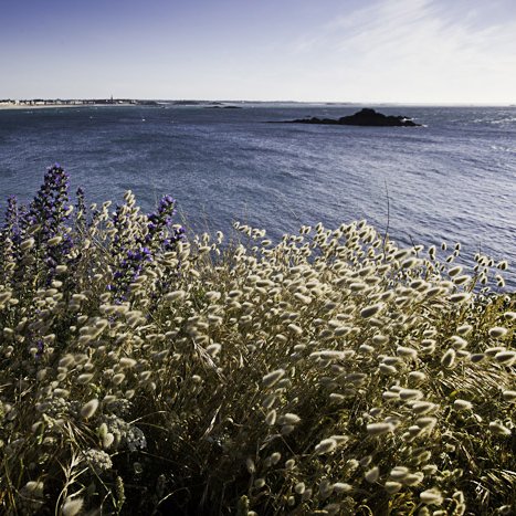 <strong> Pointe de la Varde, vue sur Saint-Malo</strong> <small>© Michel FLEURY</small>