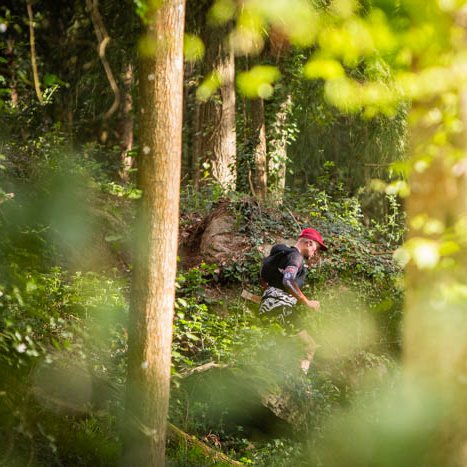 <strong></strong> <small>© Michel FLEURY</small>