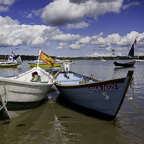 <strong>Fête des Doris, estuaire de la Rance</strong> <small>© Michel FLEURY</small>