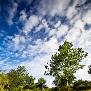 Saint-Lunaire, sentier à la pointe du Nick © Michel FLEURY <strong>Saint-Lunaire, sentier à la pointe du Nick </strong> <small>© Michel FLEURY</small>