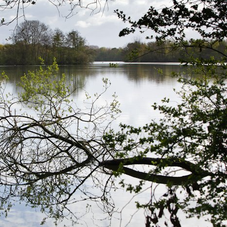 <strong>Saint-André-des-Eaux #5</strong> <small>© Michel FLEURY</small>