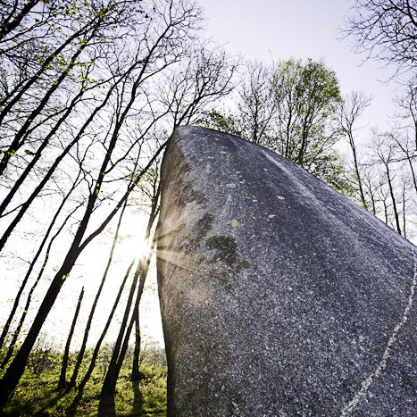 Menhir de la Tiemblais, Saint-Samson sur Rance #4 © Michel FLEURY <strong>Menhir de la Tiemblais, Saint-Samson sur Rance #4</strong> <small>© Michel FLEURY</small>