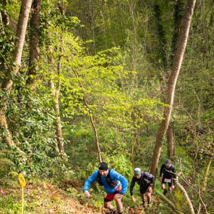 <strong></strong> <small>© Michel FLEURY</small>