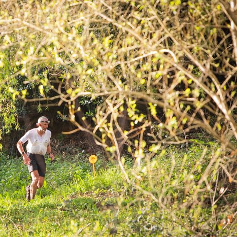 <strong></strong> <small>© Michel FLEURY</small>