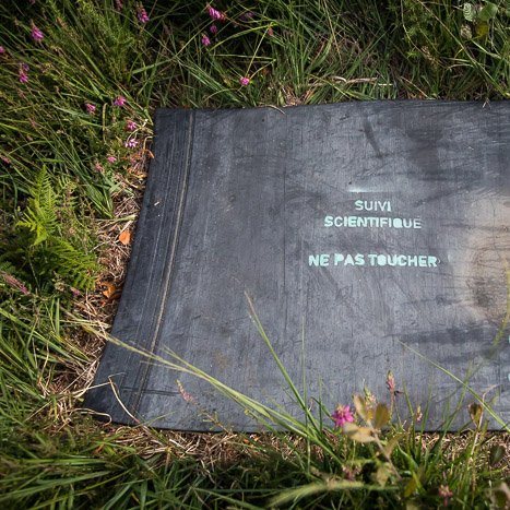<strong></strong> <small>© Michel FLEURY</small>