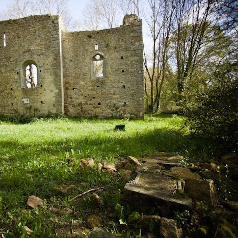 <strong>Saint-André-des-Eaux, ruines de l'ancienne église</strong> <small>© Michel FLEURY</small>