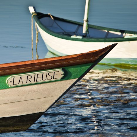 <strong>Doris en Rance</strong> <small>© Michel FLEURY</small>