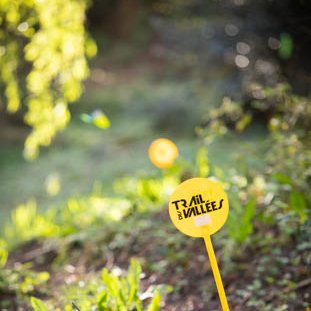 <strong></strong> <small>© Michel FLEURY</small>