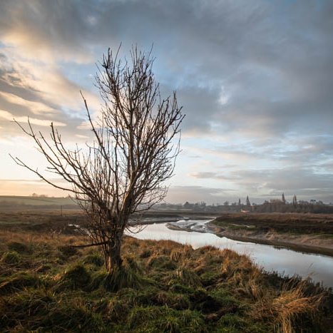 <strong>Les Bas-Champs à Pleudihen-sur-Rance</strong> <small>© Michel FLEURY</small>