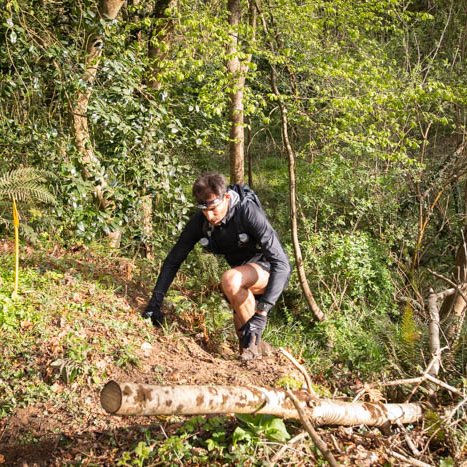 <strong></strong> <small>© Michel FLEURY</small>