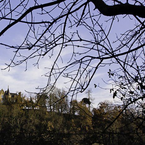 Méandre de la vieille rivière, château de Grillemont © Michel FLEURY <strong>Méandre de la vieille rivière, château de Grillemont</strong> <small>© Michel FLEURY</small>