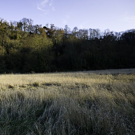 Méandre de la vieille rivière #5 © Michel FLEURY <strong>Méandre de la vieille rivière #5</strong> <small>© Michel FLEURY</small>