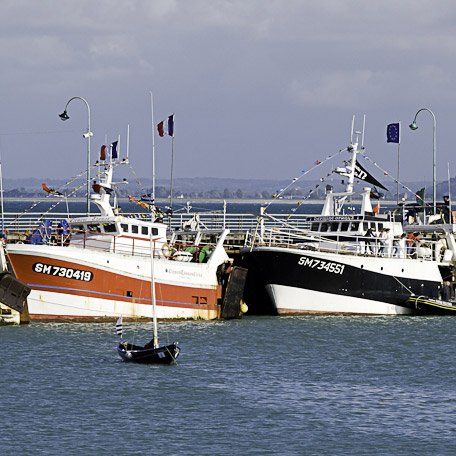 <strong>Au port de Cancale</strong> <small>© Michel FLEURY</small>