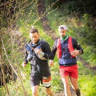 <strong></strong> <small>© Michel FLEURY</small>