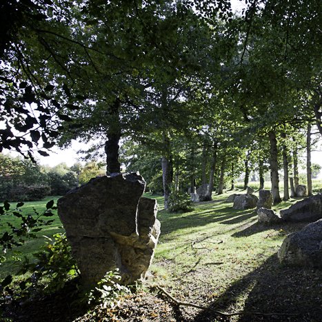 <strong>Pleslin-Trigavou, le Champ des Roches #5</strong> <small>© Michel FLEURY</small>