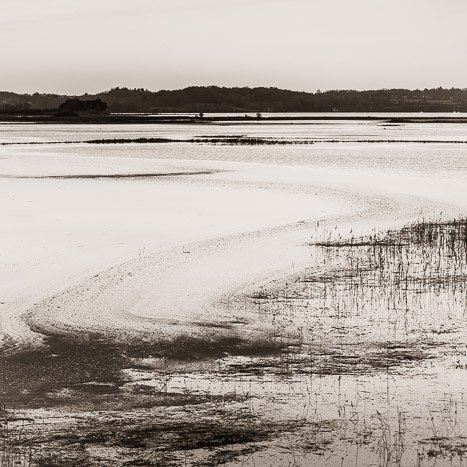 <strong>Ondulations</strong> <small>© Michel FLEURY</small>