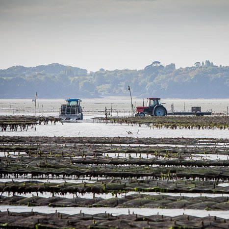 <strong>Ostériculture à Cancale</strong> <small>© Michel FLEURY</small>