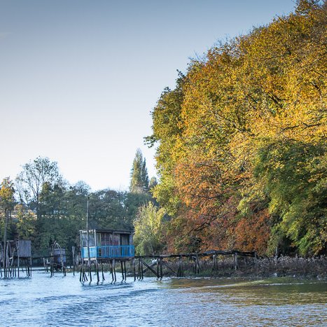 <strong></strong> <small>© Michel FLEURY</small>