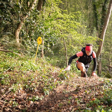 <strong></strong> <small>© Michel FLEURY</small>