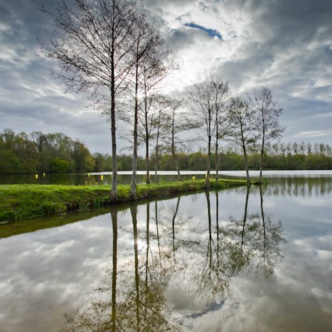 <strong>Saint-André-des-Eaux #1</strong> <small>© Michel FLEURY</small>