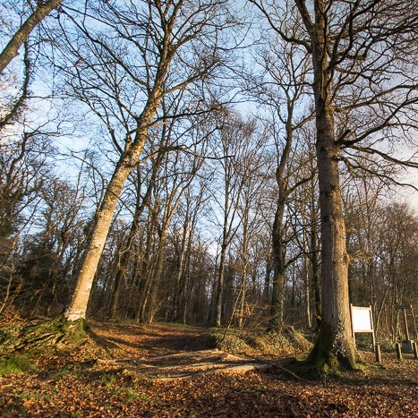 <strong>Tressé, vers la maison des fées</strong> <small>© Michel FLEURY</small>