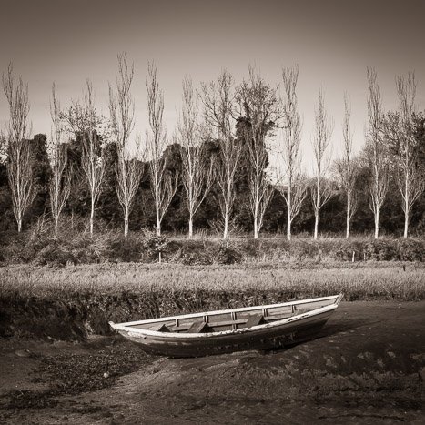 <strong>Le doris échoué</strong> <small>© Michel FLEURY</small>