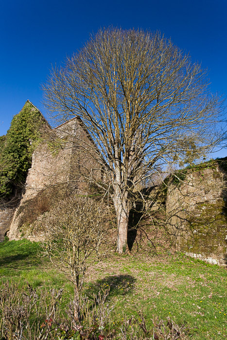 <strong>Château de Coëtquen #2</strong> • Château de Coëtquen #2 <small>© Michel FLEURY</small>