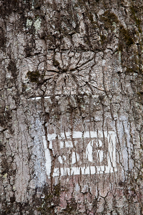 <strong>Coëtquen, marque forestière #2</strong> • Coëtquen, marque forestière #2 <small>© Michel FLEURY</small>