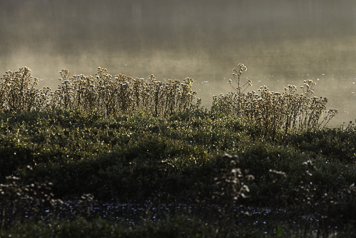 <strong>Ambiance d'automne #4</strong> <small>© Michel FLEURY</small>