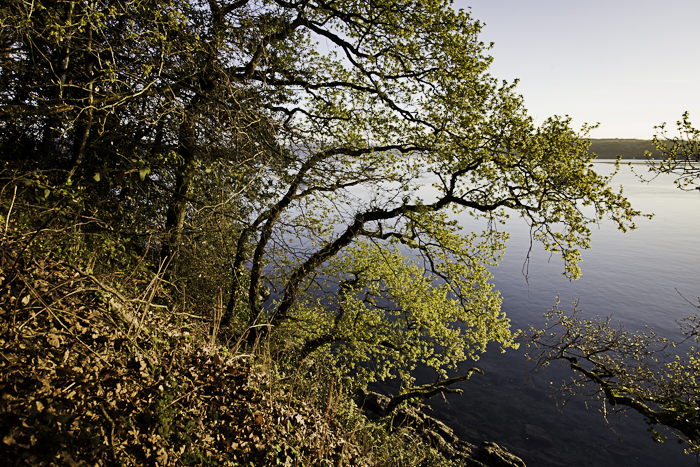 <strong>Anse du Montmarin</strong> <small>© Michel FLEURY</small>