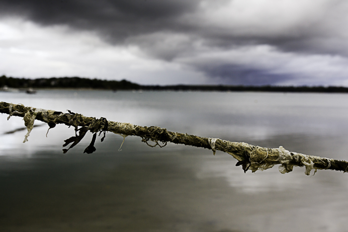 <strong>Après la pluie #1</strong> <small>© Michel FLEURY</small>