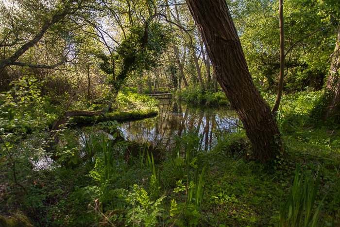 <strong>Le Frémur près de Ploubalay #2</strong> • Le Frémur près de Ploubalay #2 <small>© Michel FLEURY</small>