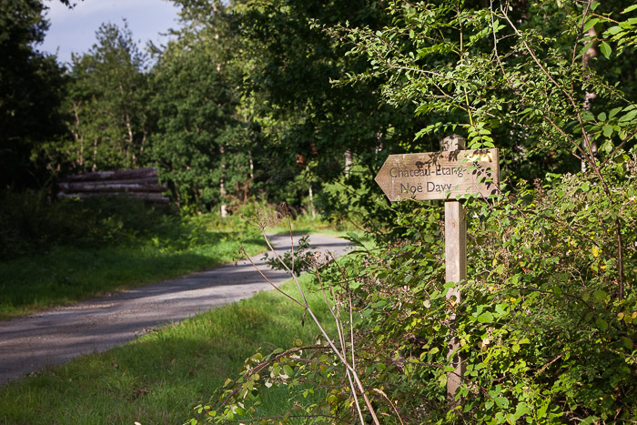 <strong>Coëtquen, vers l'étang de la Noé Davy</strong> • Coëtquen, vers l'étang de la Noé Davy <small>© Michel FLEURY</small>