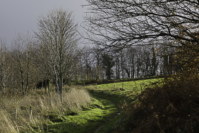 <strong></strong> <small>© Michel FLEURY</small>